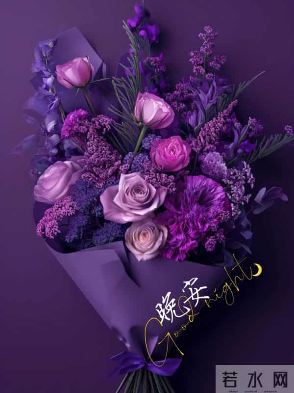 紫花伴夜,一句晚安