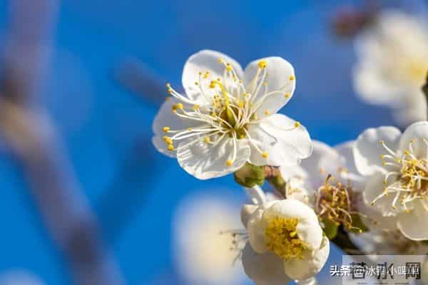 断联后,女人还默许你问这个“隐私”,说明想和你“再续前缘”