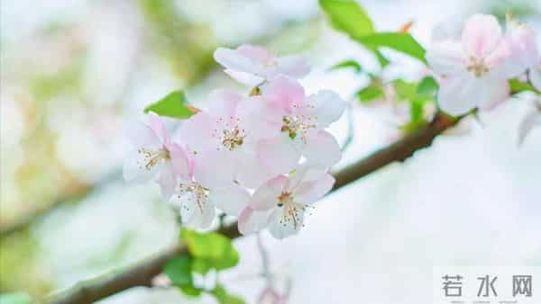 我住院儿子忙没管,女婿在医院伺候一周,出院我给了女儿3万块钱