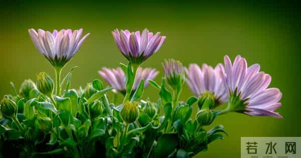 老了才明白：父母开始看你脸色了，不是他们怕你，而是他们老了