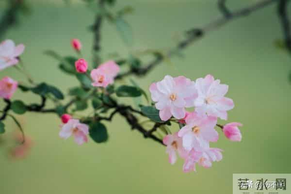 女人主动“勾”你时，不会说“我喜欢你”，却常说这5句话