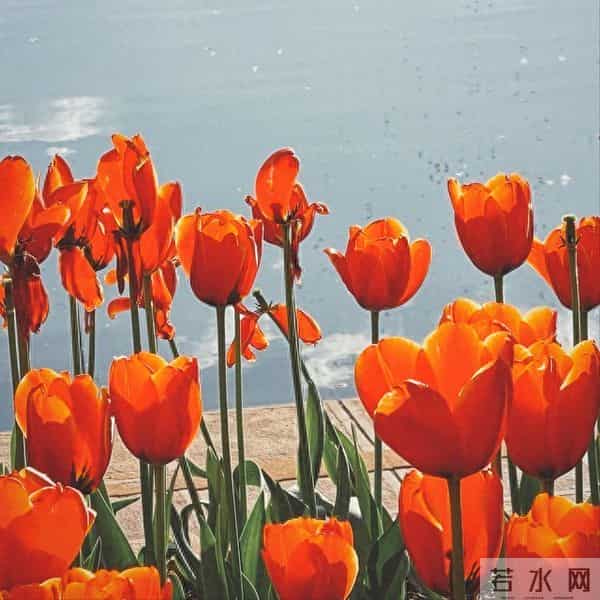 射手座2026年运势：好运躺赢，压力集中在感情和钱包