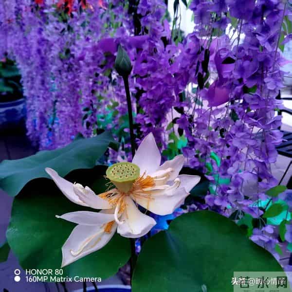 两性关系,多数女人过了60岁,还在渴望的4种陪伴,你知道几种?