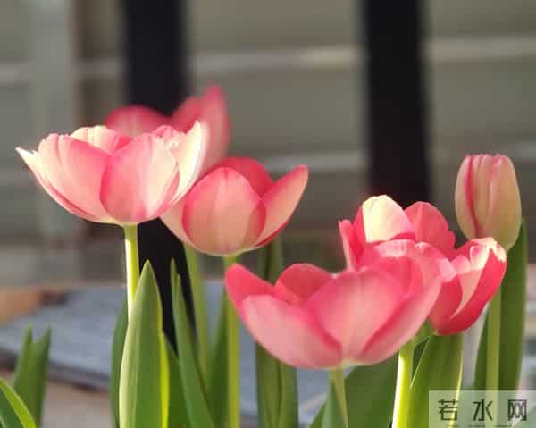 与人交往，你越这样做，别人越崇拜你！