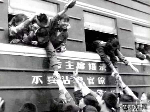 知青往事:下乡插队那会我还不懂的爱情,等我懂了爱情却为时已晚