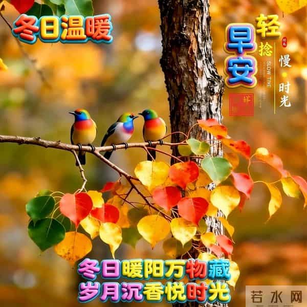 风寒有衣、雨来有伞日子清宁、快乐常伴 琐碎日常过成最顺流年 早安