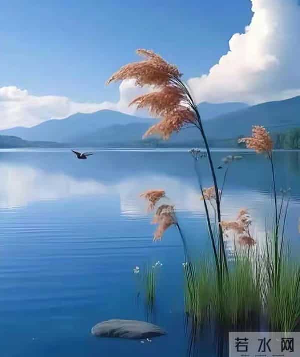 最大的福报已到,请签收:你若不盛开,贵人何处来?