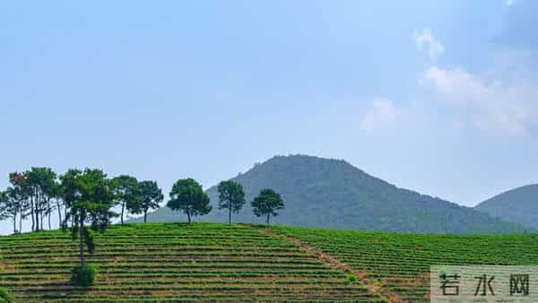 别不信命，混到50岁还一事无成，不是你不努力，是你不懂这了个字