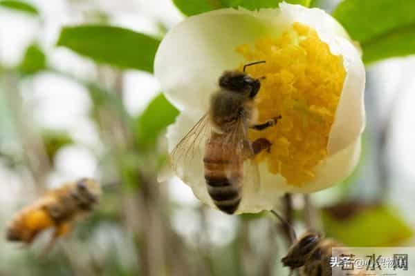 女人爱不爱你，根本不用试探！看这2点，准确率99%