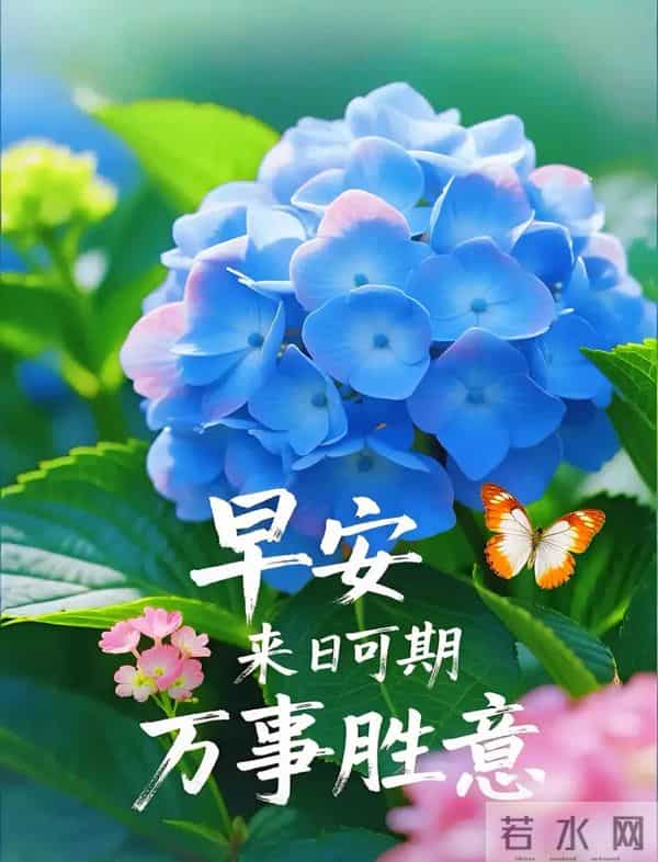 「2025.12.05」今日唯美早安祝福图片问候，温馨早上好祝福语