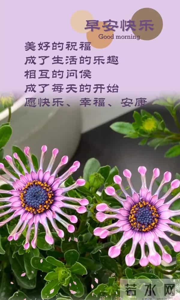 2025年12月5日，星期五，农历十月十六，早安吉祥祝福语！