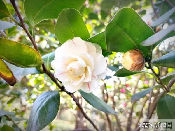 女人爱不爱你，根本不用试探！看这2点，准确率99%