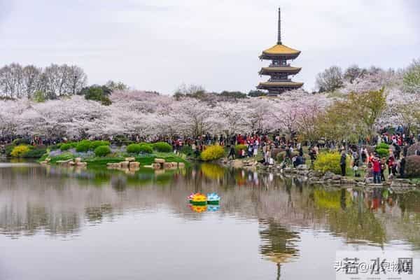 经历两次离婚，我明白了-所有夫妻关系的破裂，都始于同一个错误