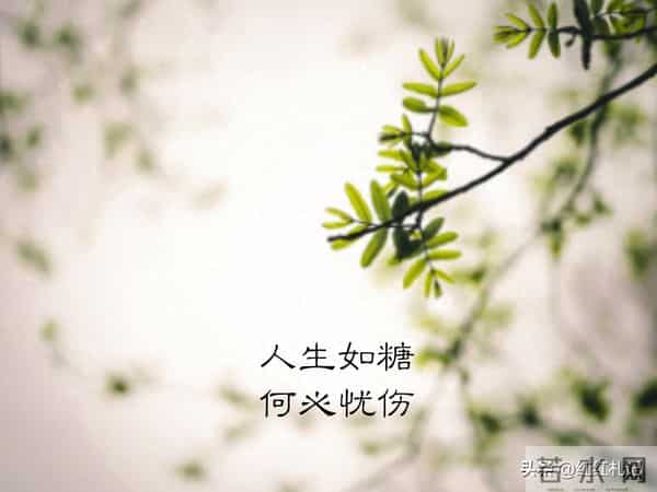 既然无缘，何须誓言。