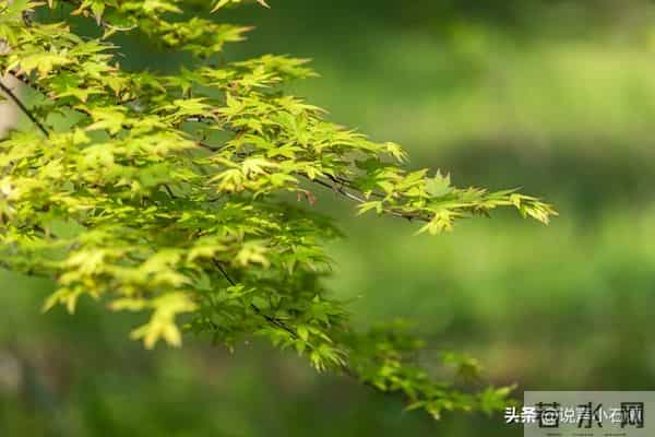 从今天起，你的好日子正式到站了，请准备签收！