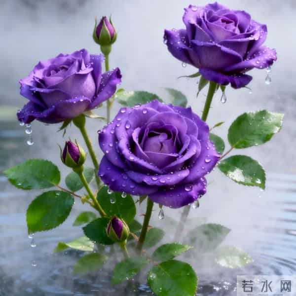 亲家初次见面，带对3样东西，体面又拉满好感（建议收藏）