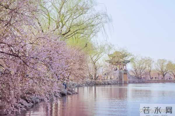 真正有福气的女人，婚姻多半不顺：她的归宿，从来不是婚姻
