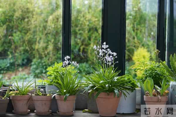 夫妻到了晚年,只要是“分房睡”,大都逃不过3个原因