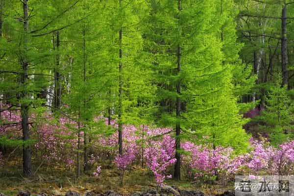 别傻傻只看身体接触,女人一旦在这些地方为你破戒,就是爱惨你了