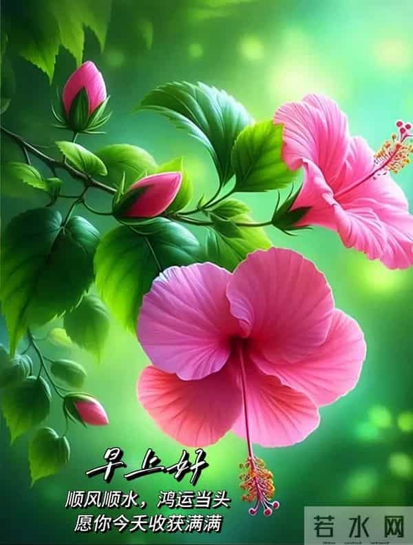 2025.12.06 冬天周六早安愉快！最新精美周六早上好温馨祝福语图片