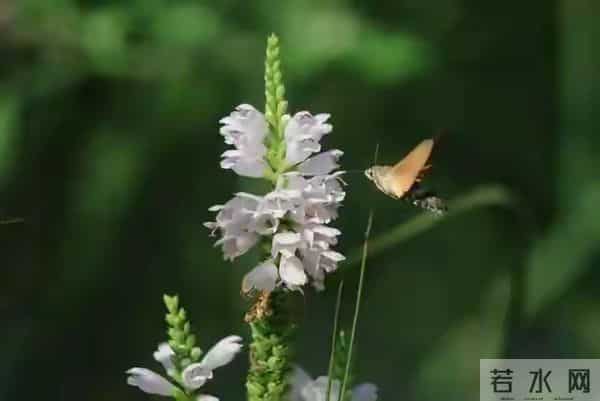 两性关系，50岁后，女人愿意被你抱，说明这几个心理防线已崩溃