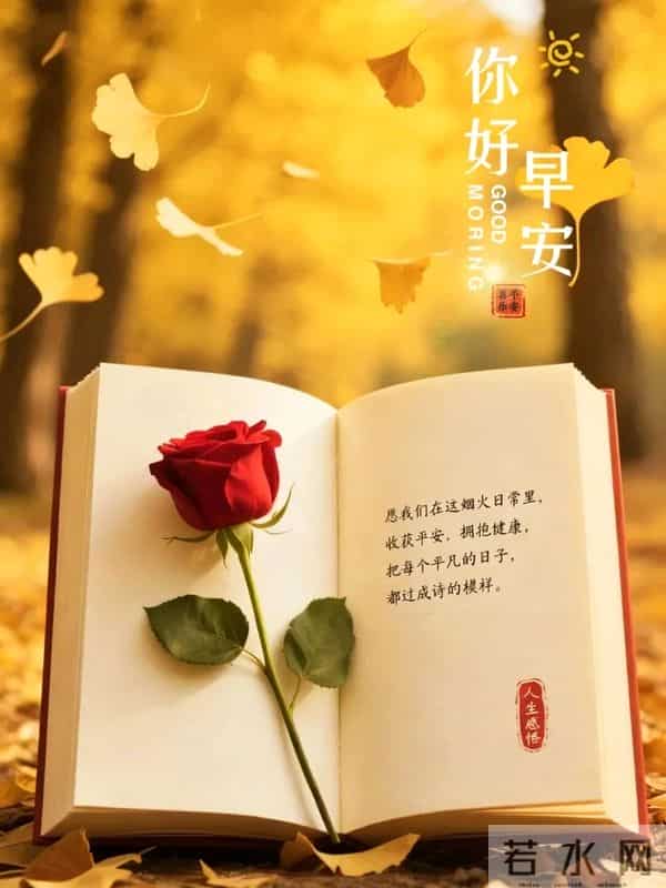 早安心语 去冲，去闯，去成为自己的太阳