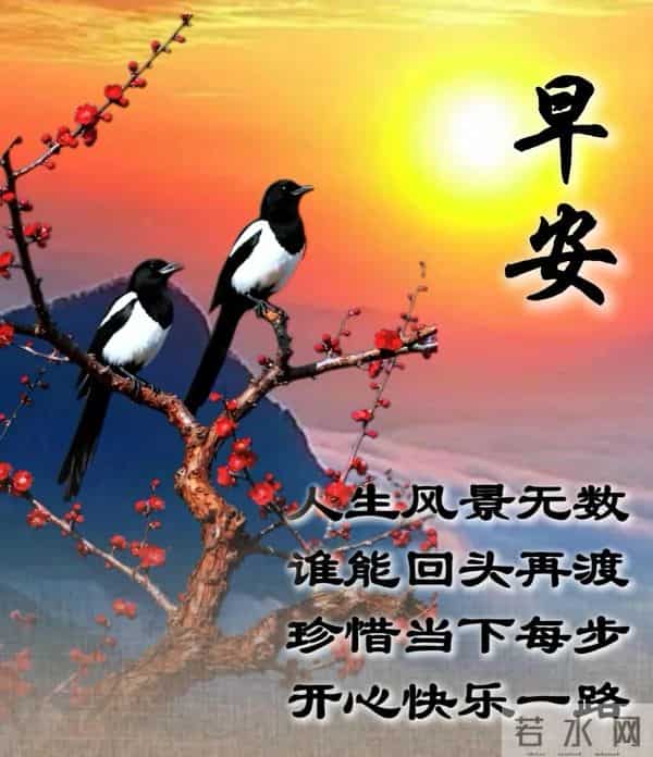 风寒有衣、雨来有伞日子清宁、快乐常伴 琐碎日常过成最顺流年 早安