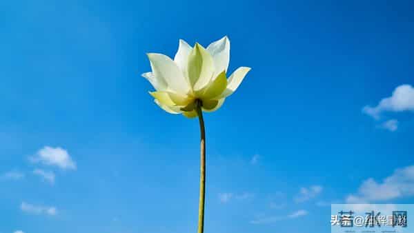 12月5日星期一,子鼠,可能会有事发生