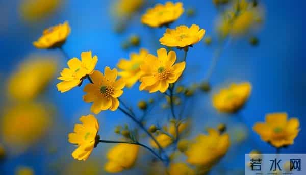 人品好的人,无论到什么年纪,都不会缺人爱