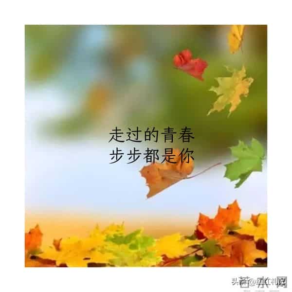 既然无缘，何须誓言。