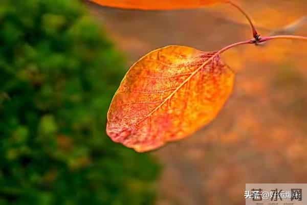 老了才活明白，最幸福的老人都有这3个“怪癖”占一个就乐吧