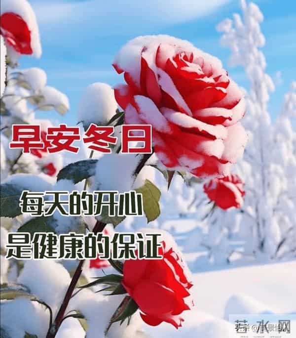 2025.12.5号周五早安祝福美图