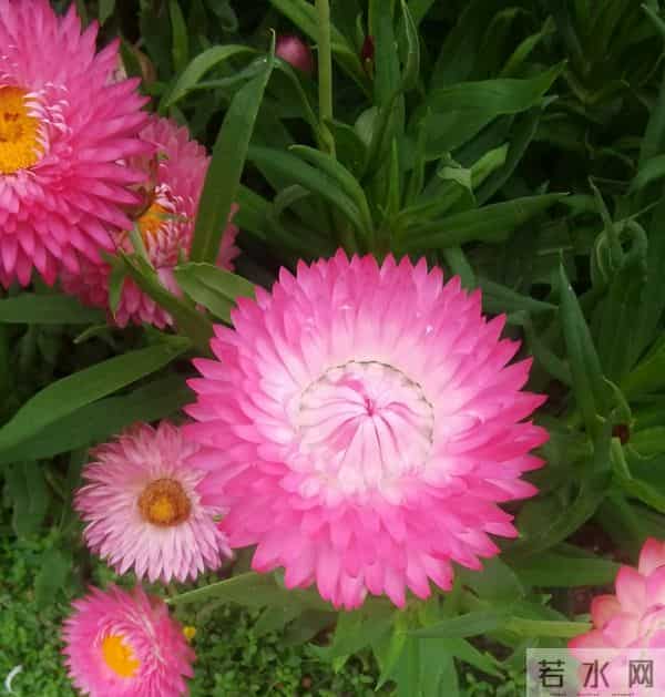 不要辜负我的一片真心