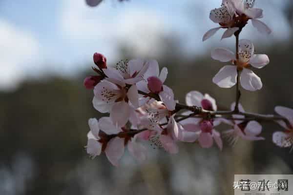 过了60岁，就别胡思乱想，更别焦虑了，做到这几点，就能安度晚年