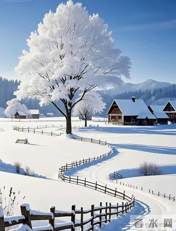 散文∥大雪有痕