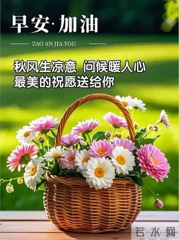 早安，凡是过往皆是序章，所有将来皆为可盼。