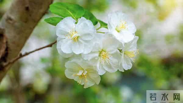 我住院儿子忙没管,女婿在医院伺候一周,出院我给了女儿3万块钱