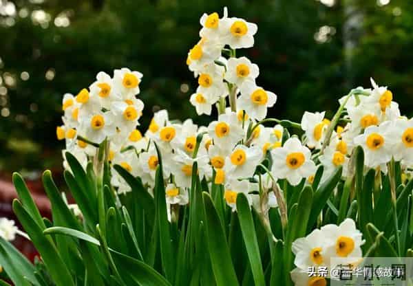 两性关系:80岁女人说的大实话,句句扎心,赶紧看看。