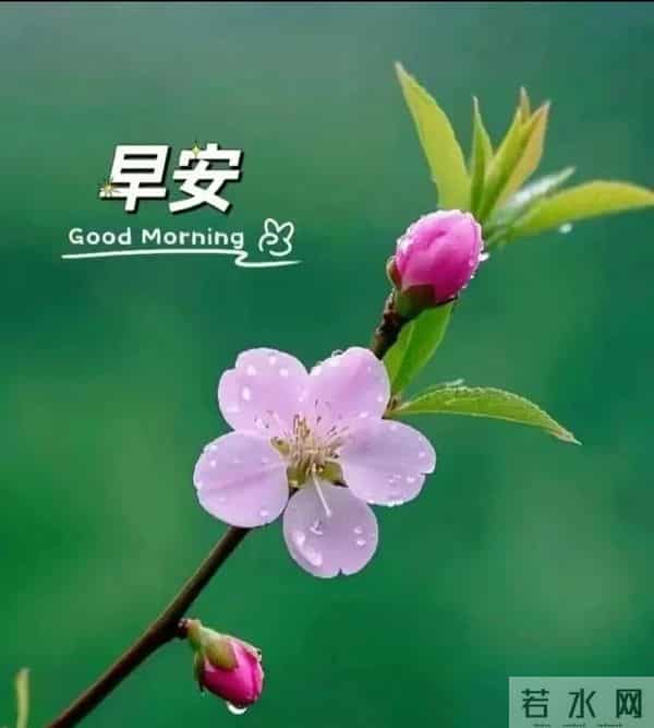 2025.12.05今日十月十六——早上好,周五祝福问候语,早安图片