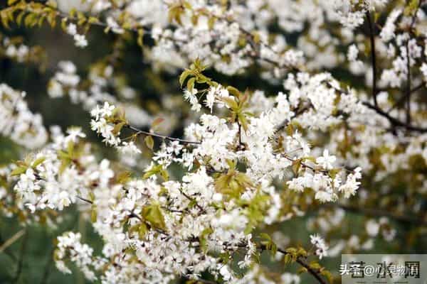 经历两次离婚,我明白了-所有夫妻关系的破裂,都始于同一个错误
