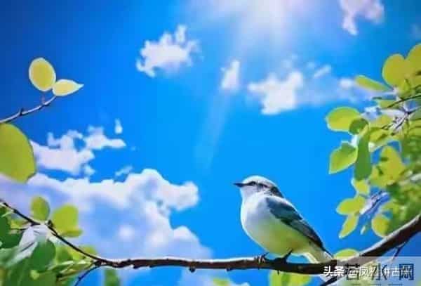 两性关系:65岁后关系再好也要警惕,这三种相处方式最伤感情!