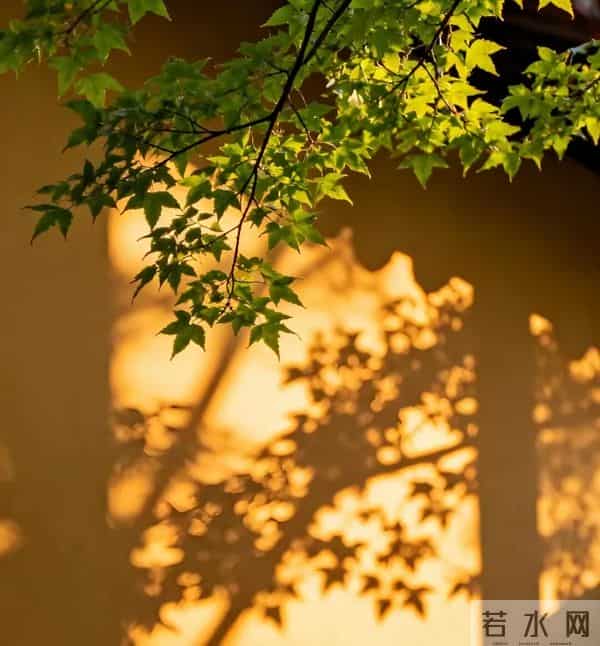 人生最顶级的活法,是学会给内心“做减法”