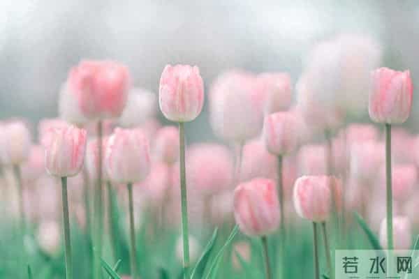 很暖很治愈的唯美句子,句句温柔,句句暖心