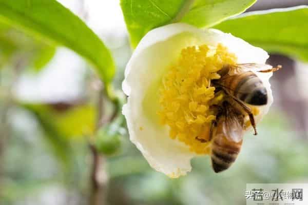 女人爱不爱你，根本不用试探！看这2点，准确率99%