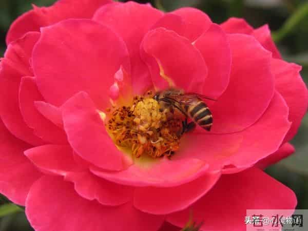 女人爱不爱你，根本不用试探！看这2点，准确率99%