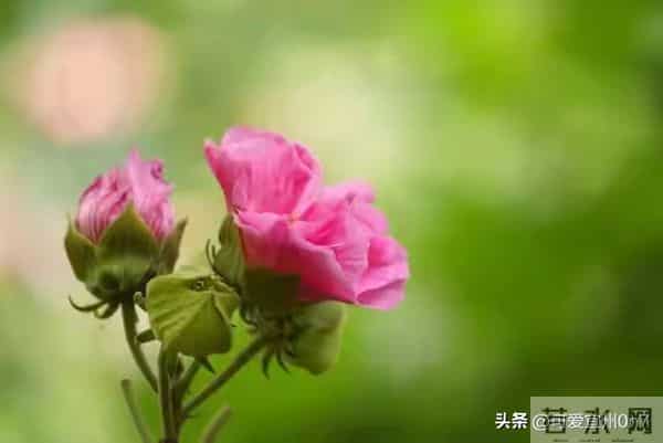 你懂得-女人喜欢男人的四个坏动作,多数男人不敢一试知道吗?