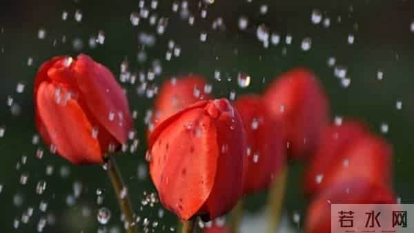 一个细节，说明男人爱你