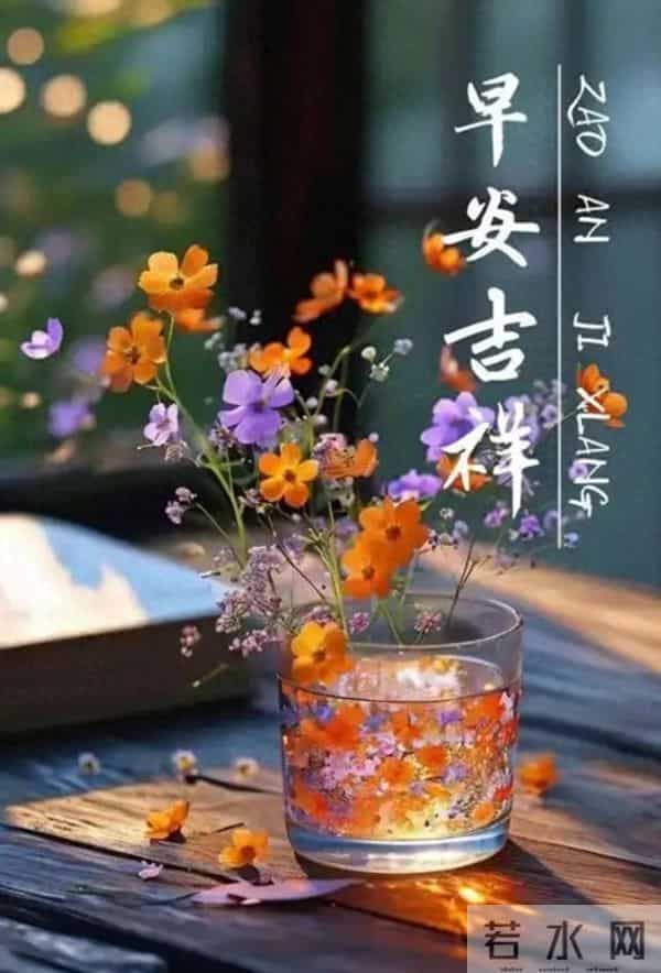 晨露缀花,早安致暖