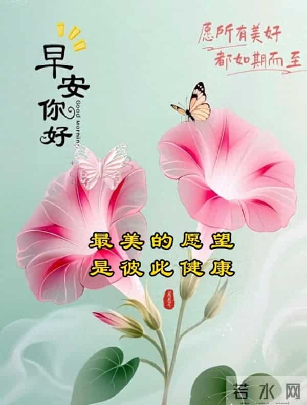 晨露与芬芳,致早安