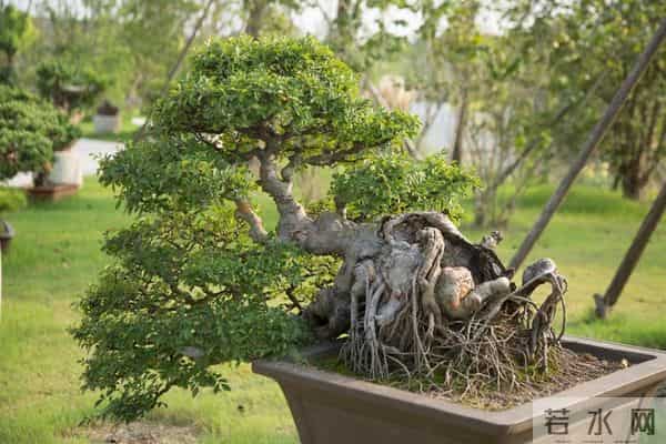 夫妻到了晚年,只要是“分房睡”,大都逃不过3个原因